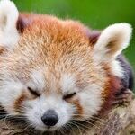 How Can I Make the Most of My Weekends?