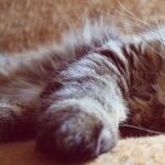 I Love to Sleep In!
