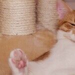 I Prefer to Be Comfortable and Casual Most of the Time