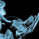 I'm Grounded, but I Never Actually Smoked It!
