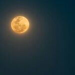 Owner's Manual for a Capricorn Moon