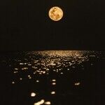 In the Shadow of a Scorpio New Moon