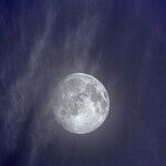 Feast of the Taurus Moon