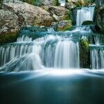 Surreal Closing Trine