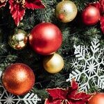 Holiday Anticipation