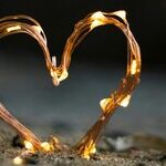 Soft Hearts, Deep Connections