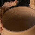 Impressionable Moments of a Venus Pisces