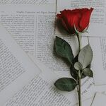 Balancing Love's Books