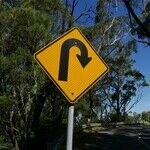 Jupiter's Turnaround