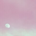 Pink Moon Afterthoughts