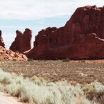 On Growing and Not Growing