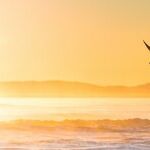 Solar Conjunction to Saturn