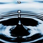 The Ripple Effect