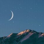 Lunar Perspectives
