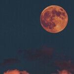 New Moon Times Four
