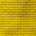 After the Yellow Brick Road