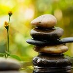 The Libra Principle