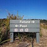 A Future-You Meetup