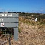 A Future-You Meetup