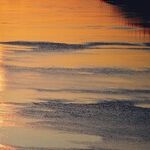 On Personal Radiance