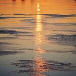 On Personal Radiance