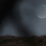 Buck Moon Rises