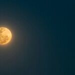 Under the Gemini Moon