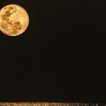 Peace Moon