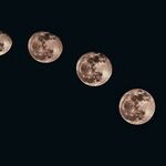 In Preparation for the New Moon