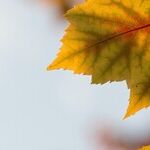 On the Cusp of a New Season