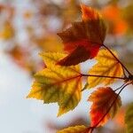 On the Cusp of a New Season