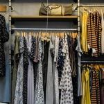 Venus Offers a Style Guide