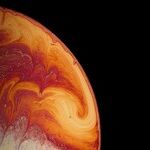 Venus, If You Will...