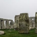 Happy Winter Solstice