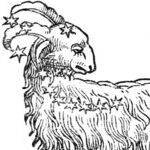 Busy Aries Moon