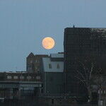 Full Moon After-Party