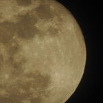 Full Leo Moon