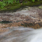 Cleansing by 'Februa'