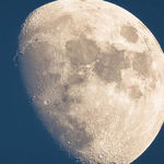 No-Drama Moon