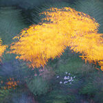 Spring Equinox