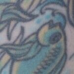 Pisces Moon Query