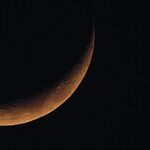 New-Moon Power Lives On