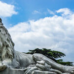Season of the Leo Sun