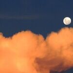 Moon of Social Grace