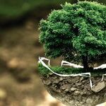 Earth-Sign Grounding Influence