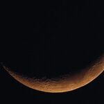 Styling New Moon