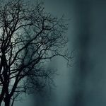 Mystery Moon