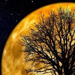 Moody Moon