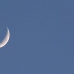 Quirky New Moon