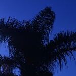 Solar Shift to Optimism